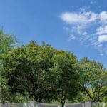construction company johannesburg
